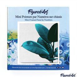 Figuredart Mini Peinture Par Numros 20X20Cm Avec Cadre Caoutchouc | Fleurs