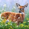 Figuredart Biche Dans La Prairie | Animaux