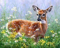 Figuredart Biche Dans La Prairie | Animaux