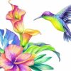 Figuredart Colibri Et Fleurs | Fleurs