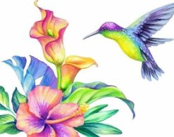 Figuredart Colibri Et Fleurs | Fleurs