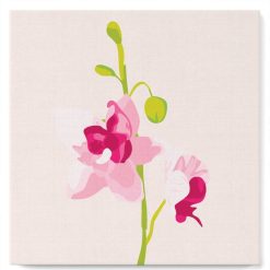 Figuredart Mini Peinture Par Numros 20X20Cm Avec Cadre Orchide | Fleurs