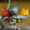 Figuredart Broderie Diamant - Crocodile Et Papillons | Broderie Diamant Animaux