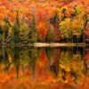 Figuredart Reflet Sur Le Lac En Automne | Paysages