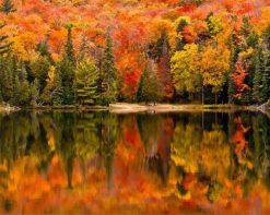 Figuredart Reflet Sur Le Lac En Automne | Paysages