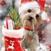 Figuredart Broderie Diamant - Chien Et Cadeaux | Broderie Diamant Noel