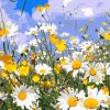 Figuredart Champs De Marguerites Et Ciel Bleu | Fleurs