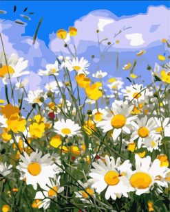 Figuredart Champs De Marguerites Et Ciel Bleu | Fleurs