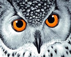 Figuredart Yeux De Hibou Oranges | Animaux