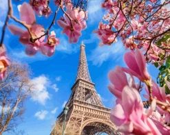 Figuredart Tour Eiffel Et Magnolias | Ville