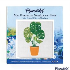 Figuredart Mini Peinture Par Numros 20X20Cm Avec Cadre Plante Verte | Fleurs