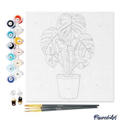 Figuredart Mini Peinture Par Numros 20X20Cm Avec Cadre Plante Verte | Fleurs