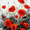 Figuredart Coquelicots Rouges | Fleurs