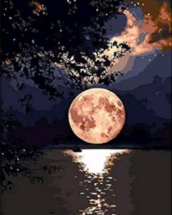 Figuredart Reflets De Lune Sur Le Lac | Paysages