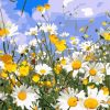 Figuredart Champs De Marguerites Et Ciel Bleu | Paysages