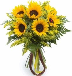 Figuredart Jaune Tournesol | Fleurs