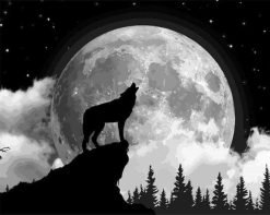 Figuredart Loup Solitaire Et Pleine Lune | Paysages