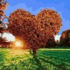 Figuredart Coucher De Soleil Dans Un Arbre En Coeur | Paysages