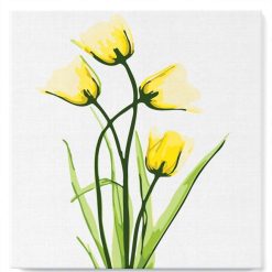 Figuredart Mini Peinture Par Numros 20X20Cm Avec Cadre Jolies Fleurs Jaunes | Fleurs