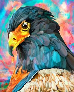 Figuredart Aigle Et Couleurs | Animaux