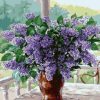 Figuredart Lilas Pourpre | Fleurs