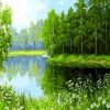 Figuredart Arbres Se Refltant Dans L'Eau | Paysages