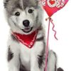 Figuredart Broderie Diamant - Chien I Love You | Broderie Diamant Animaux