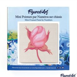 Figuredart Mini Peinture Par Numros 20X20Cm Avec Cadre Bouton De Rose | Fleurs