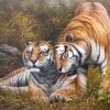 Figuredart Calin De Tigres | Animaux