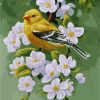 Figuredart Oiseau Sur Une Branche Fleurie | Fleurs