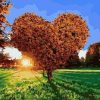 Figuredart Coucher De Soleil Dans Un Arbre En Coeur | Romantique