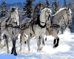 Figuredart Attelage De Chevaux Dans La Neige | Animaux