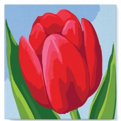 Figuredart Mini Peinture Par Numros 20X20Cm Avec Cadre Tulipe Rouge | Fleurs