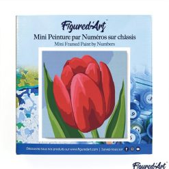 Figuredart Mini Peinture Par Numros 20X20Cm Avec Cadre Tulipe Rouge | Fleurs