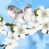 Figuredart Oiseaux Et Fleurs De Magnolias | Fleurs