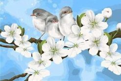 Figuredart Oiseaux Et Fleurs De Magnolias | Fleurs