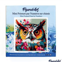 Figuredart Mini Peinture Par Numros 20X20Cm Avec Cadre Hibou Fantaisie Et Fleurs | Fleurs