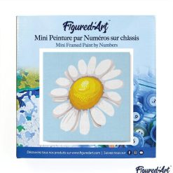 Figuredart Mini Peinture Par Numros 20X20Cm Avec Cadre Jolie Marguerite | Fleurs