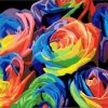 Figuredart Roses Multicolores | Fleurs