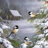 Figuredart Trois Oiseaux Sous La Neige | Paysages