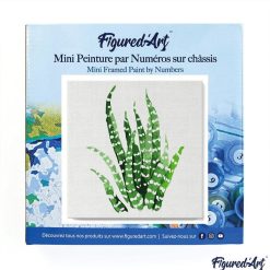 Figuredart Mini Peinture Par Numros 20X20Cm Avec Cadre Plante Grasse | Fleurs