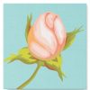 Figuredart Mini Peinture Par Numros 20X20Cm Avec Cadre Fleur En Bouton | Fleurs