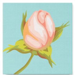 Figuredart Mini Peinture Par Numros 20X20Cm Avec Cadre Fleur En Bouton | Fleurs