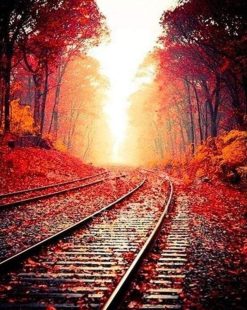 Figuredart Les Rails En Automne | Paysages