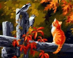 Figuredart Oiseaux Et Chaton Attentif | Animaux