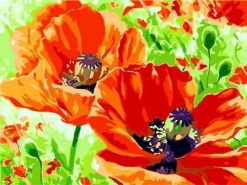 Figuredart Coquelicots Panouis | Fleurs