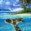 Figuredart Tortue Dtendue | Paysages