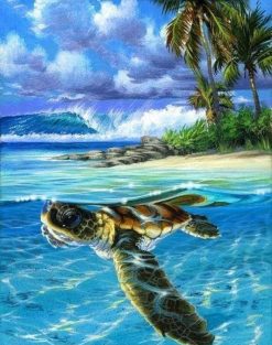 Figuredart Tortue Dtendue | Paysages