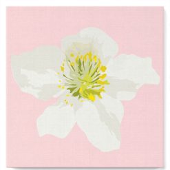 Figuredart Mini Peinture Par Numros 20X20Cm Avec Cadre Fleur D'Eglantier | Fleurs