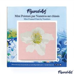 Figuredart Mini Peinture Par Numros 20X20Cm Avec Cadre Fleur D'Eglantier | Fleurs